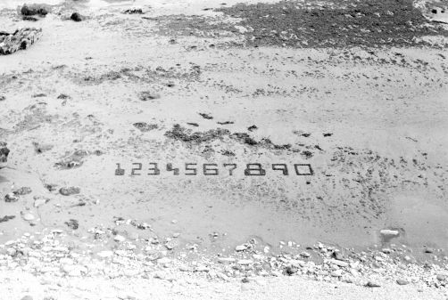 Numbers on the beach