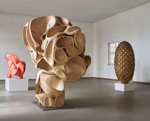 Tony Cragg. Points of View