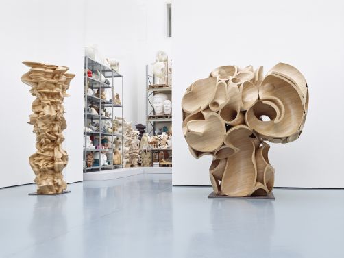 トニー・クラッグ　Tony Cragg : Signs of Life Tony Cragg: Signs of Life | Tony Cragg