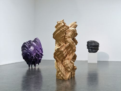 Tony Cragg - Sculptures and Works on Paper, Toruń